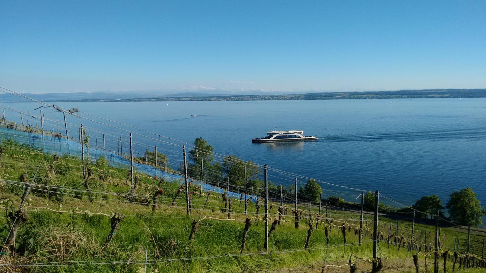 Apartmán Haus Alexander Meersburg Exteriér fotografie