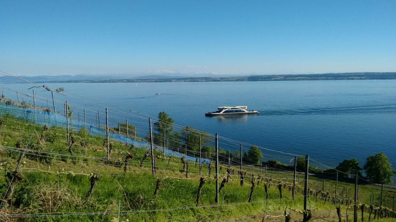 Apartmán Haus Alexander Meersburg Exteriér fotografie